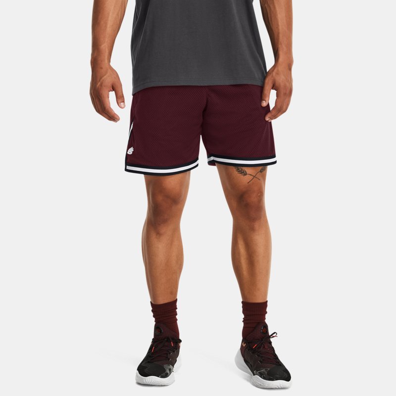 Under Armour Herenshorts Curry Mesh donker kastanjebruin / Wit XXL